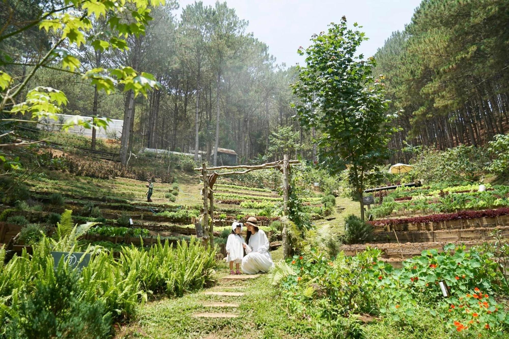 Mo Stay - Forest Resort ดาลัด ภายนอก รูปภาพ