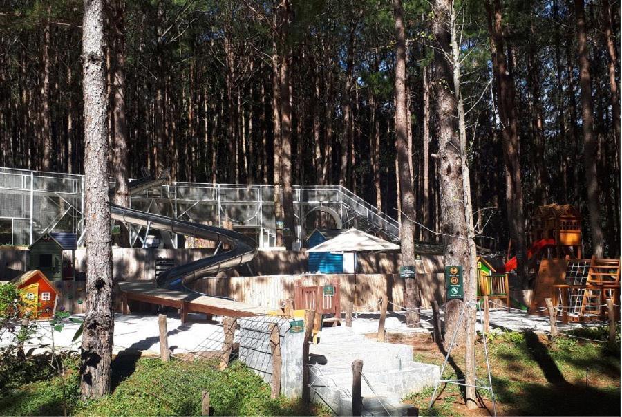 Mo Stay - Forest Resort ดาลัด ภายนอก รูปภาพ