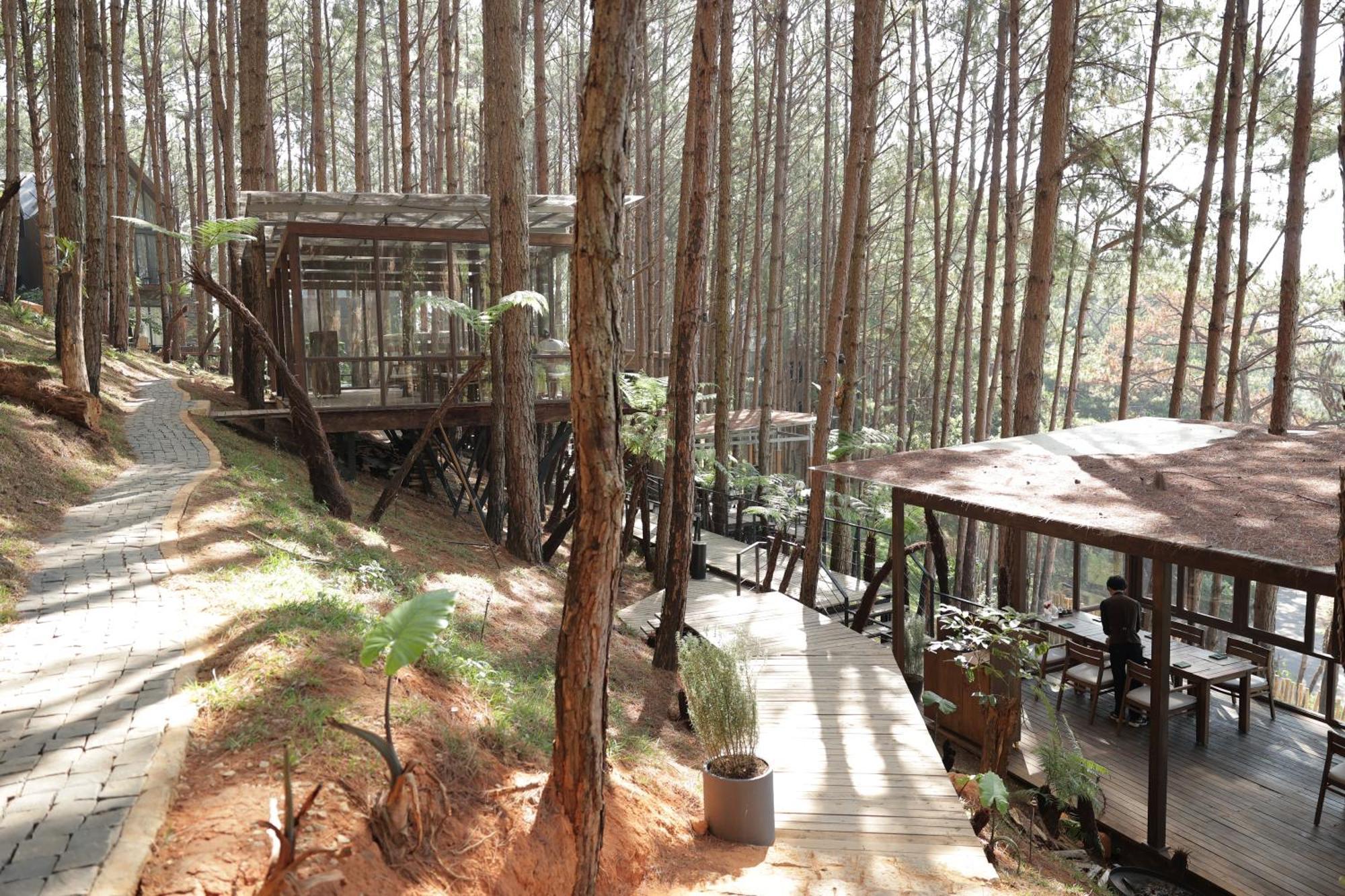 Mo Stay - Forest Resort ดาลัด ภายนอก รูปภาพ