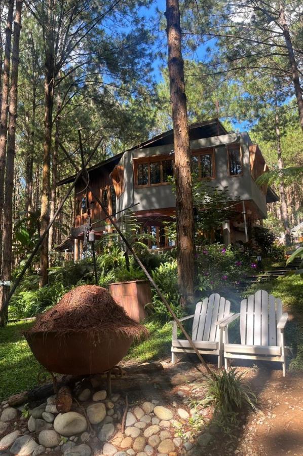 Mo Stay - Forest Resort ดาลัด ภายนอก รูปภาพ
