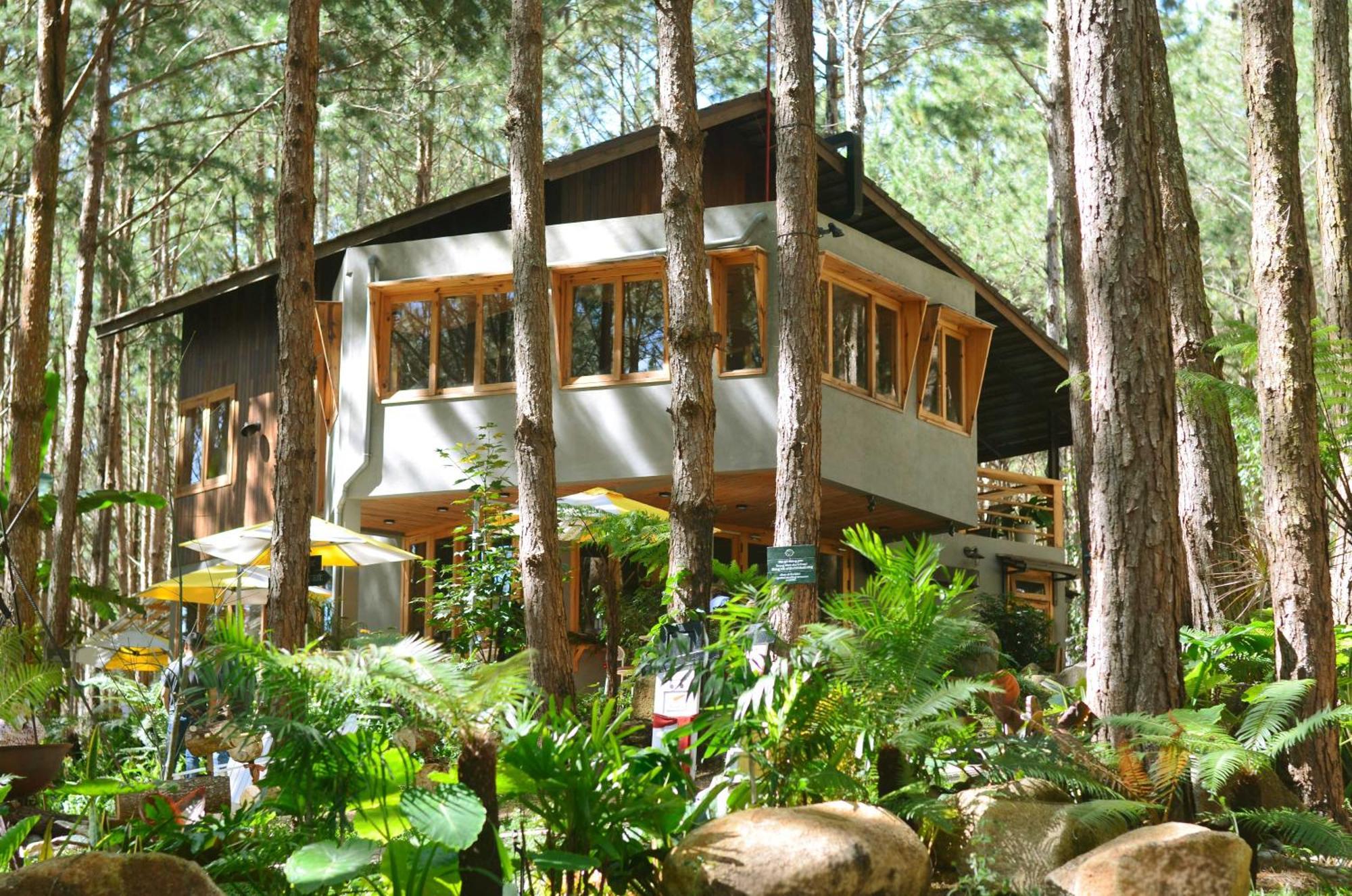 Mo Stay - Forest Resort ดาลัด ภายนอก รูปภาพ