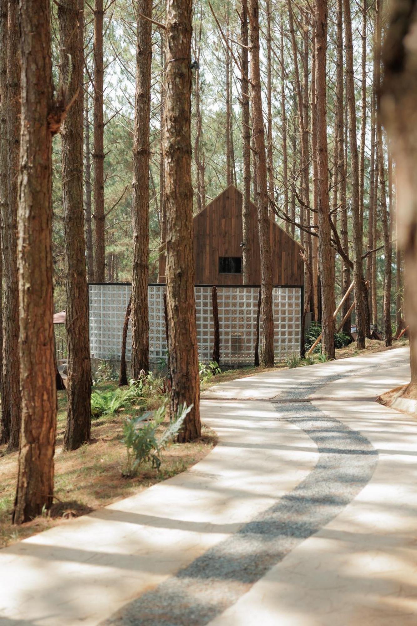Mo Stay - Forest Resort ดาลัด ภายนอก รูปภาพ