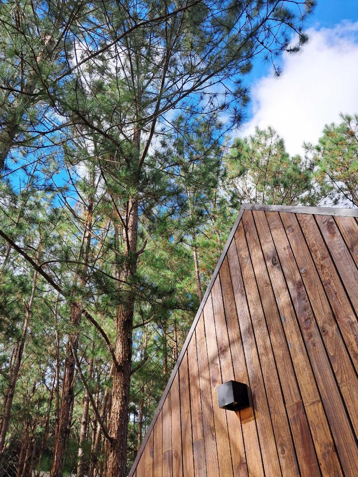 Mo Stay - Forest Resort ดาลัด ภายนอก รูปภาพ